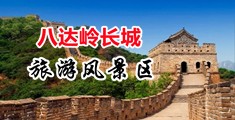 我要看日逼片中国北京-八达岭长城旅游风景区