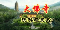 美女插B中国浙江-新昌大佛寺旅游风景区